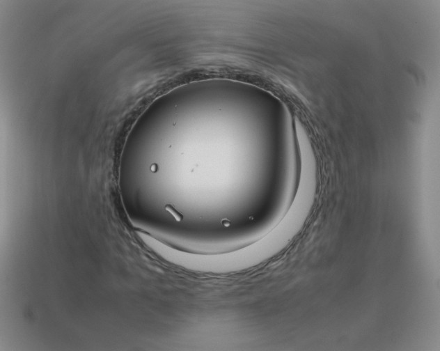 X0000113590965200910091456