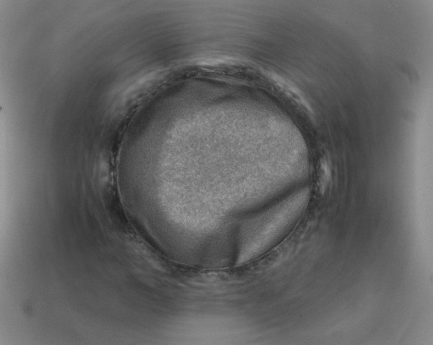 X0000113590966200910091456