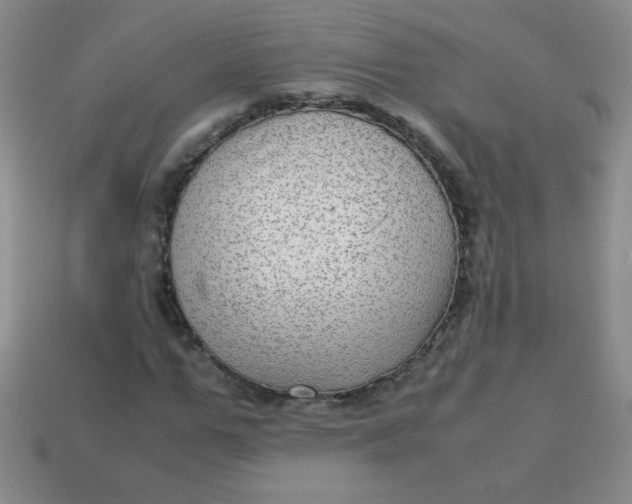 X0000113590967200910091456