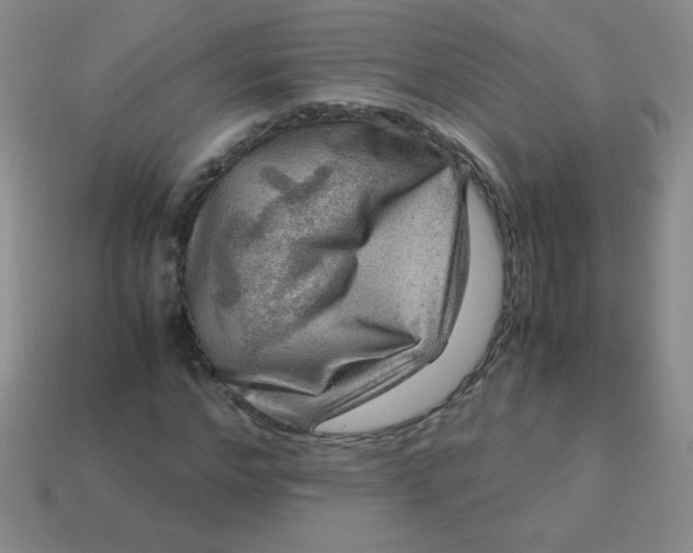 X0000113590968200910091456