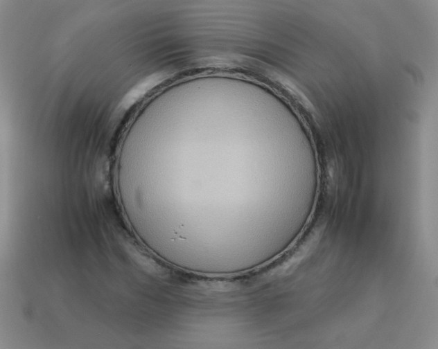 X0000113590970200910091456