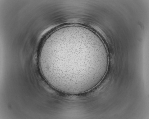 X0000113590971200910091456