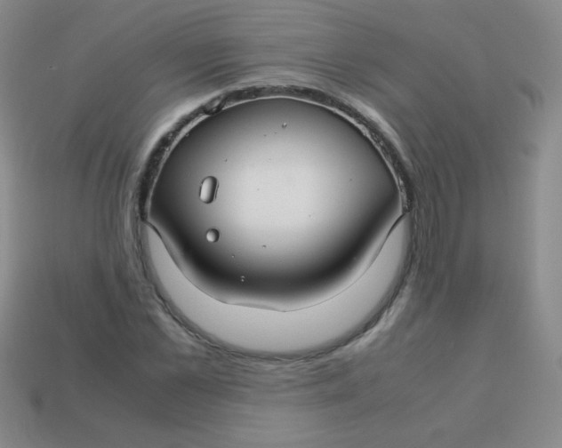 X0000113590973200910091456