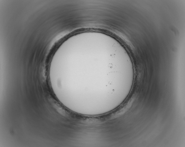 X0000113590974200910091456