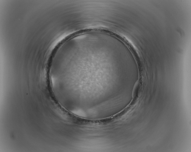 X0000113590975200910091456