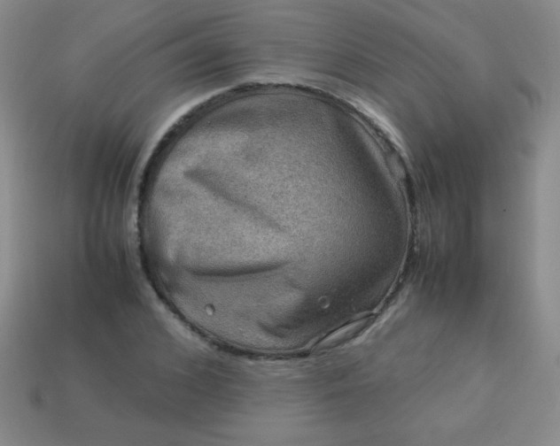 X0000113590976200910091456