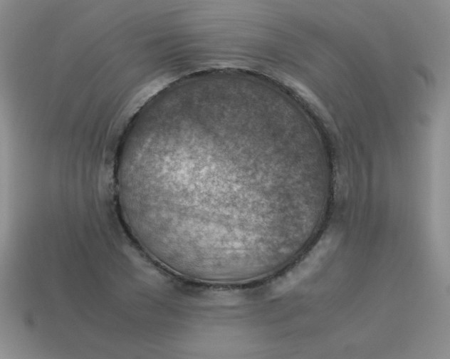 X0000113590977200910091456