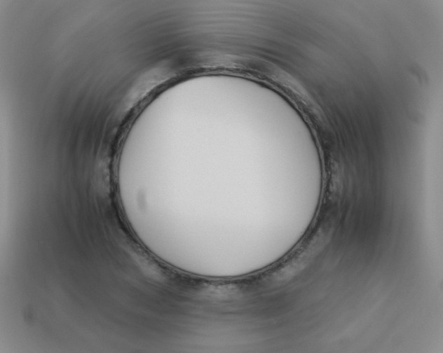 X0000113590978200910091456