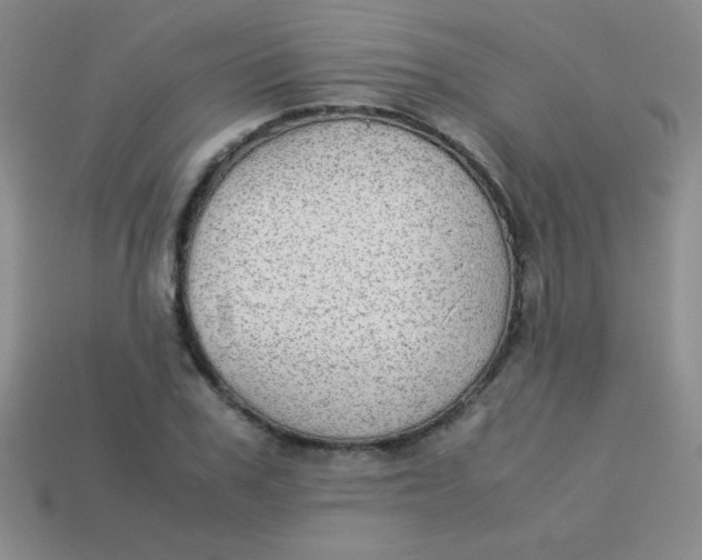 X0000113590979200910091456