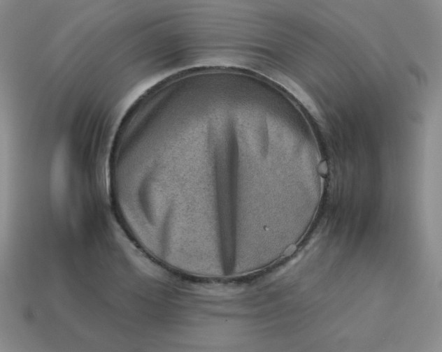 X0000113590980200910091456