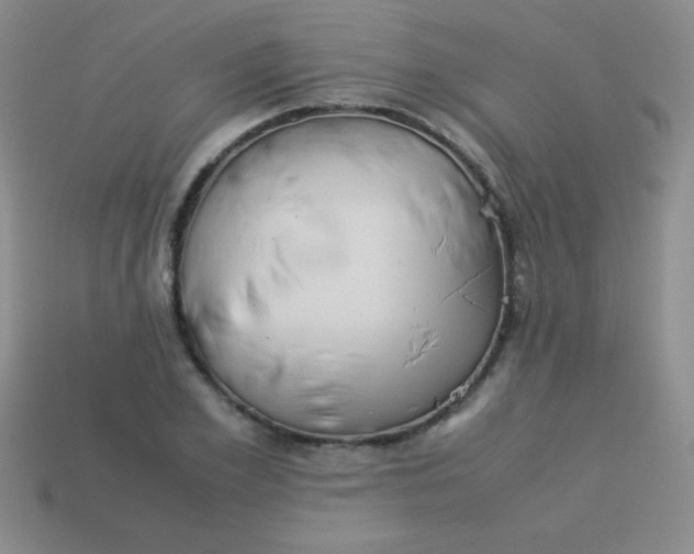 X0000113590981200910091456