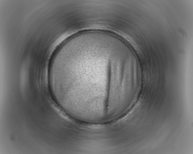 X0000113590982200910091456