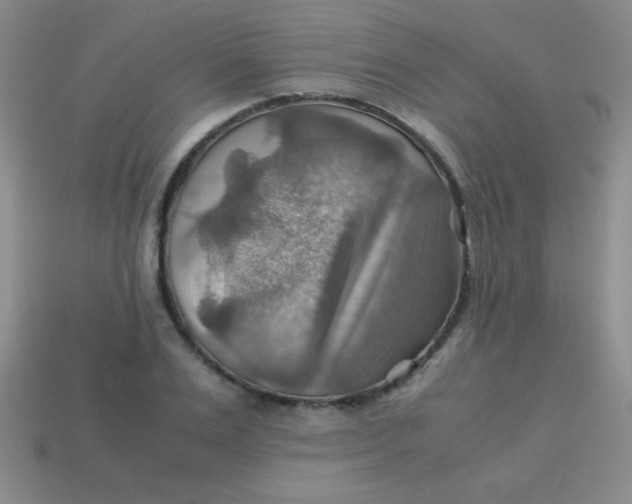 X0000113590983200910091456