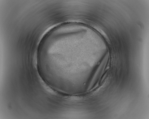 X0000113590984200910091456