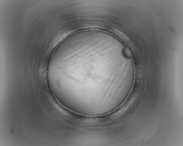 X0000113590985200910091456