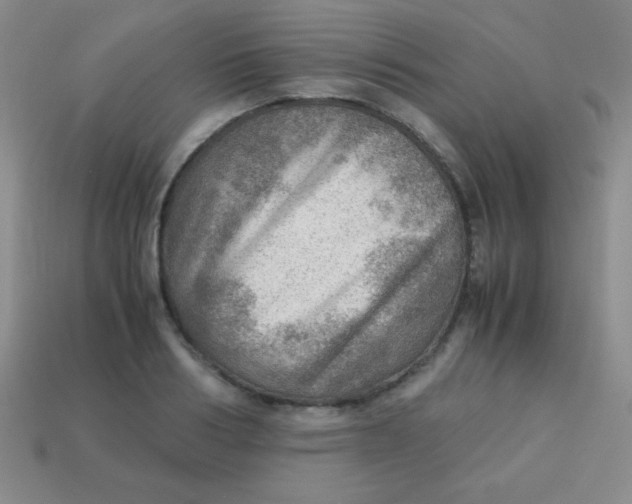 X0000113590986200910091456