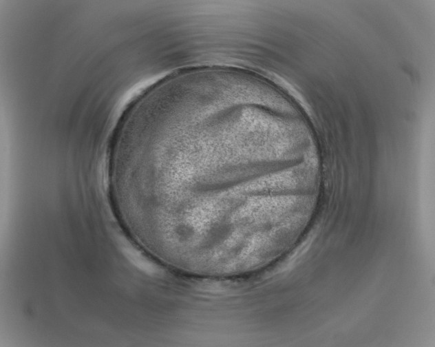 X0000113590987200910091456