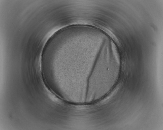 X0000113590988200910091456