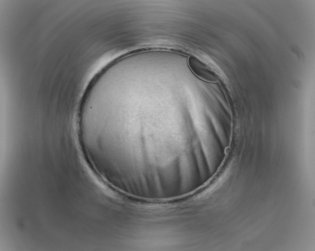 X0000113590989200910091456