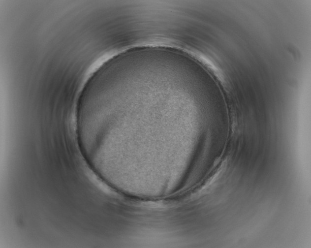 X0000113590990200910091456