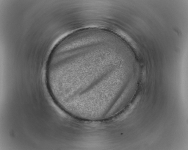 X0000113590991200910091456