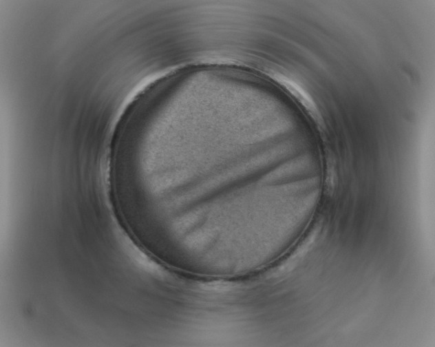 X0000113590992200910091456