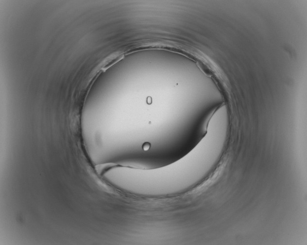 X0000113590993200910091456