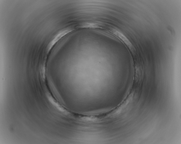 X0000113590994200910091456