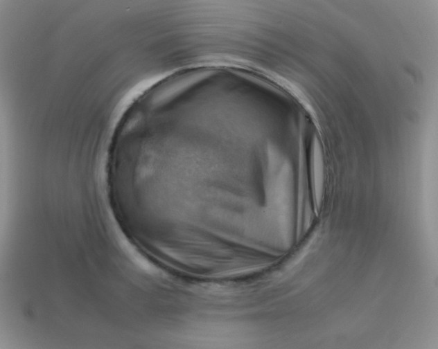 X0000113590995200910091456