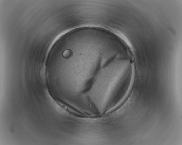 X0000113590996200910091456