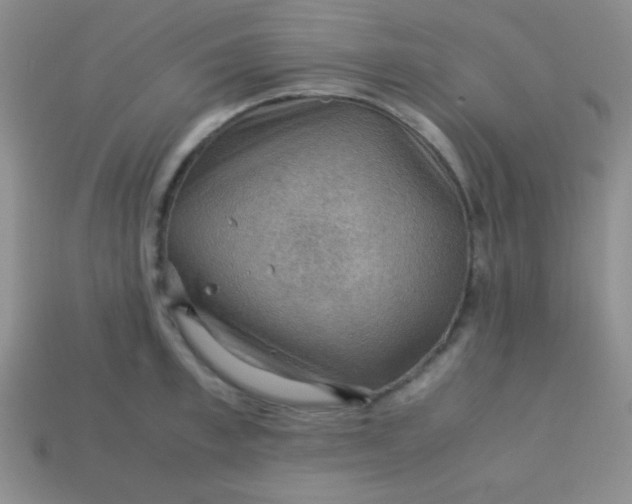 X0000113590997200910091456