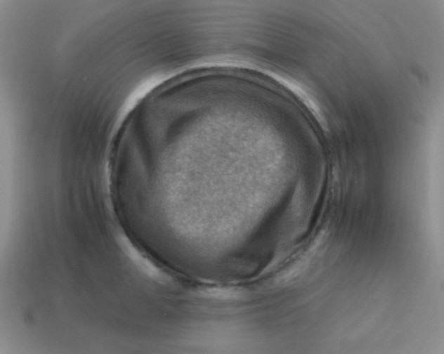 X0000113590998200910091456