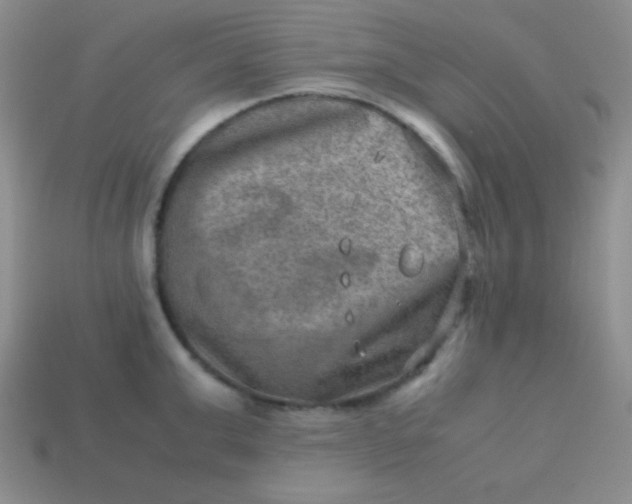 X0000113590999200910091456