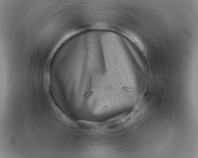 X0000113591000200910091456