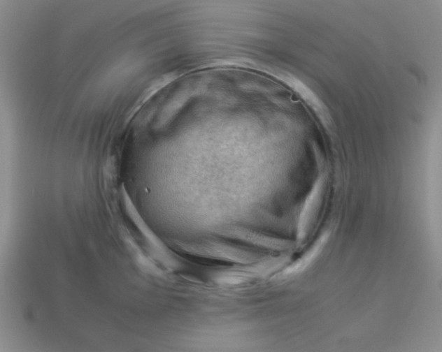 X0000113591001200910091456