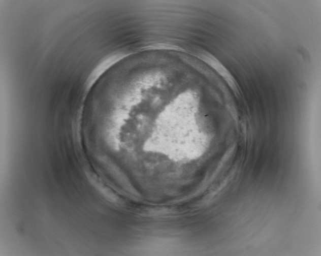 X0000113591002200910091456