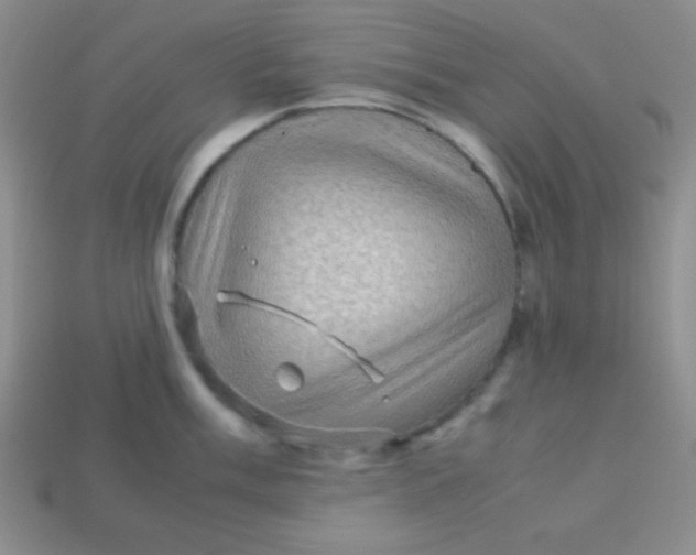 X0000113591003200910091456