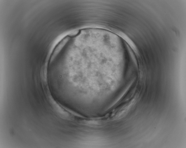 X0000113591004200910091456