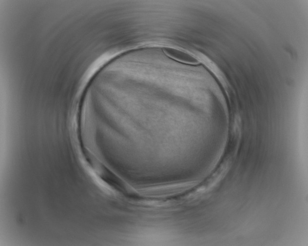 X0000113591005200910091456