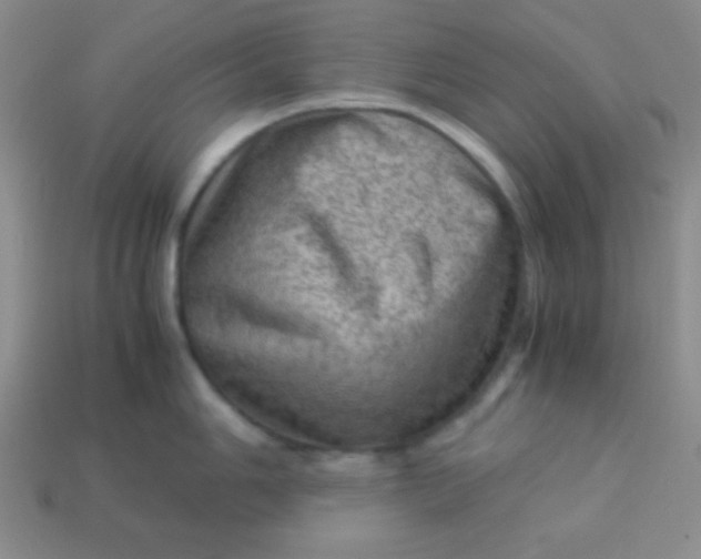 X0000113591006200910091456