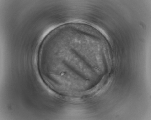 X0000113591007200910091456