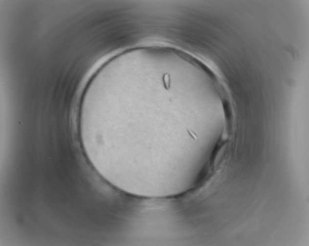 X0000113591008200910091456