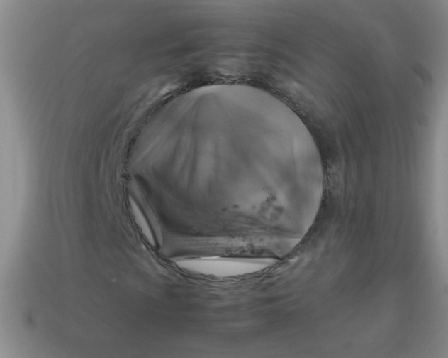 X0000113591009200910091455