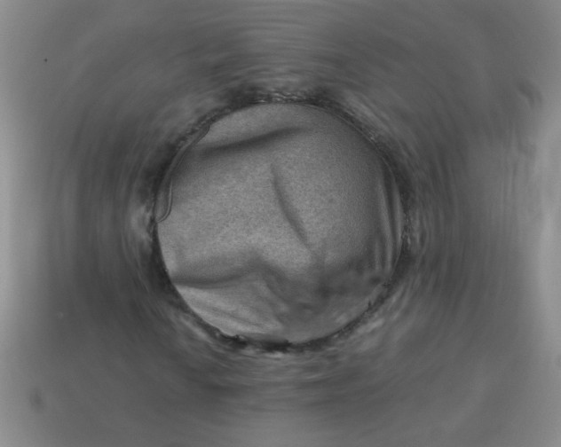 X0000113591010200910091455