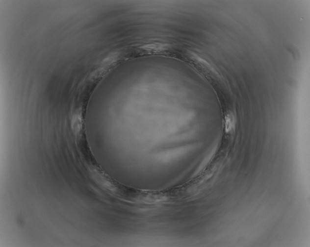 X0000113591011200910091455