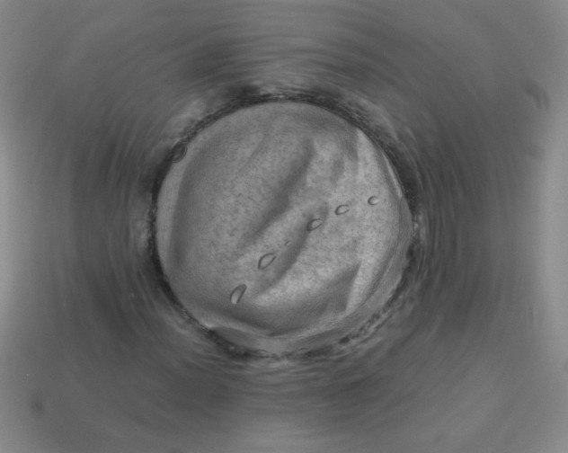 X0000113591012200910091455