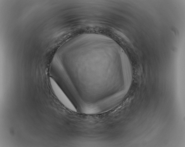 X0000113591013200910091455