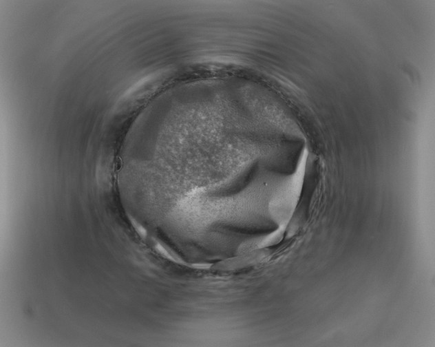 X0000113591014200910091455