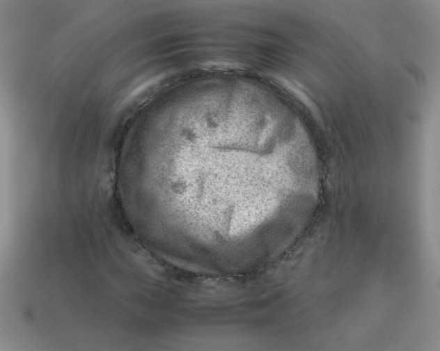 X0000113591015200910091455