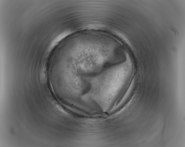 X0000113591018200910091455